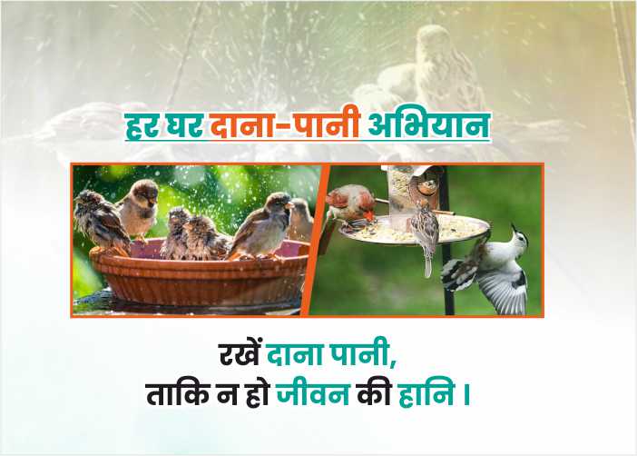Animal welfare